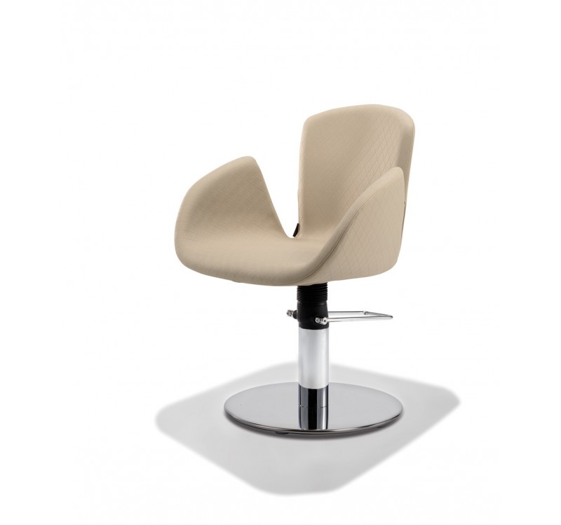 Fauteuil coiffeurs Fauteuil coiffeurs